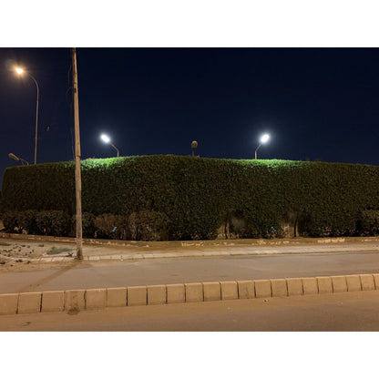 Econo 90W Solar Street Light