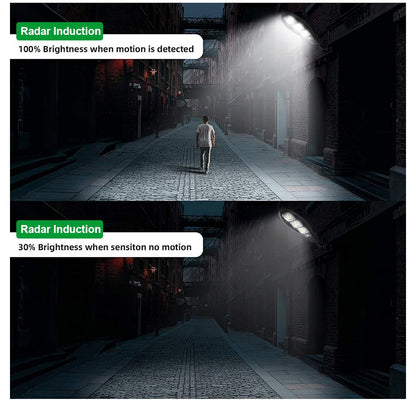 Solar Induction Lamp