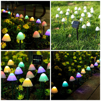 Solar Mushroom String