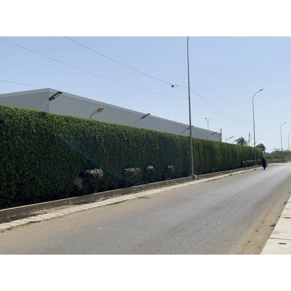 Econo 90W Solar Street Light