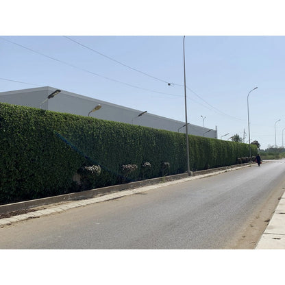 Econo 90W Solar Street Light