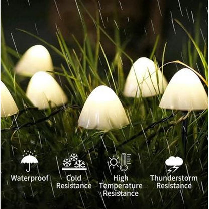 Solar Mushroom String