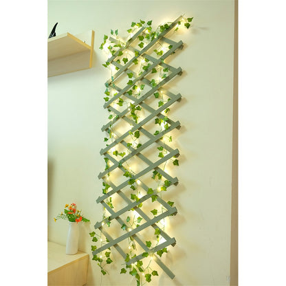 Solar Artificial Leaves