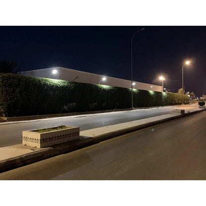 Econo 90W Solar Street Light