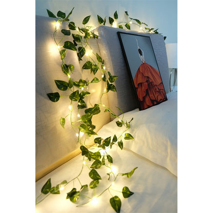 Solar Artificial Leaves