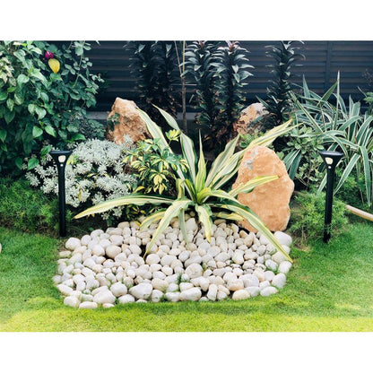 Solar Bollard Garden Light